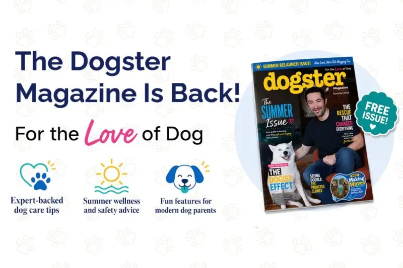 Dogster Magazine Relaunches with Fresh New Look