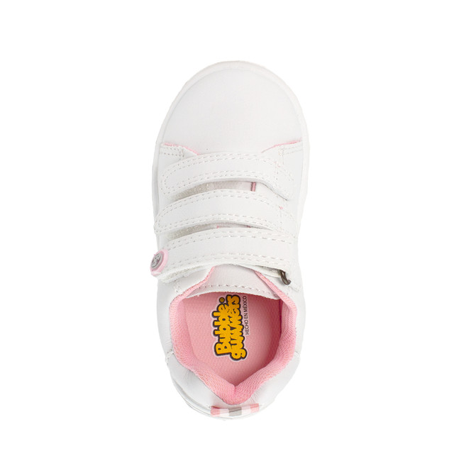 Geologia-Rosa-07.jpg