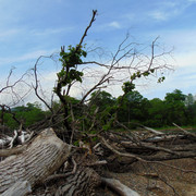 DSC05927