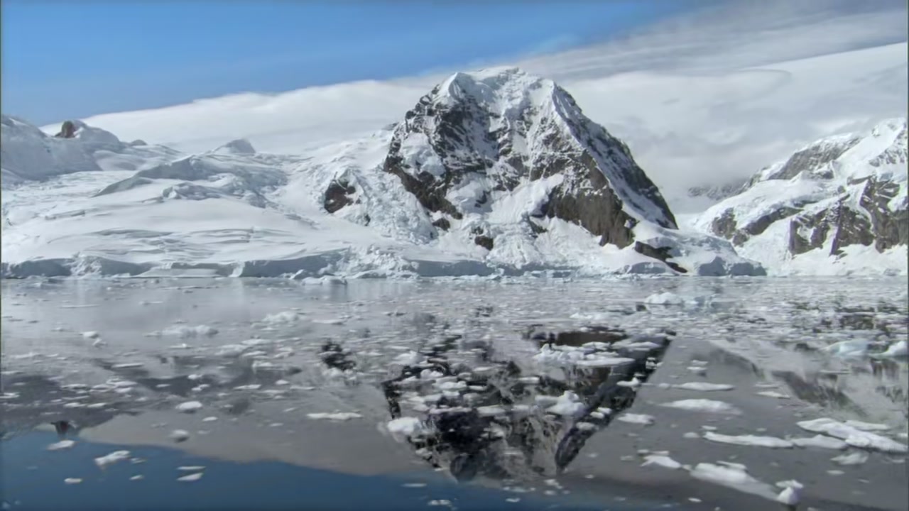 Frozen Planet Screenshot