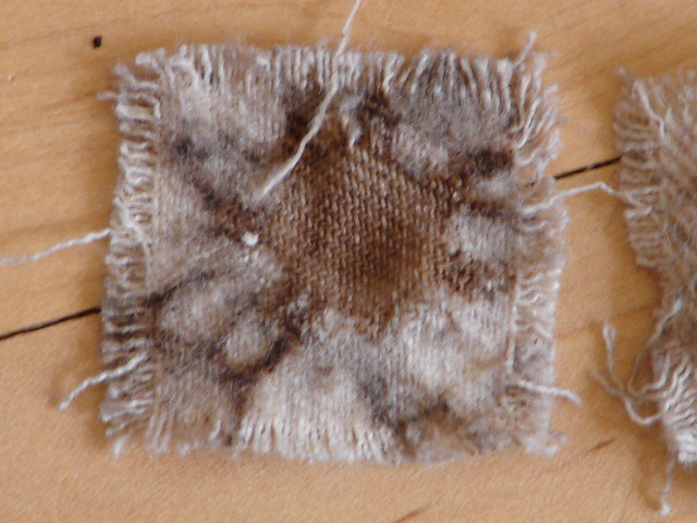 DSC03057