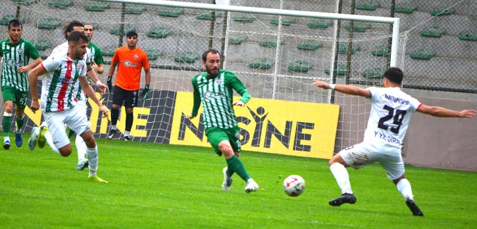 DSC-0335-1-1536x1017