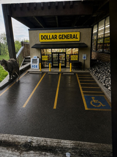 Dollar