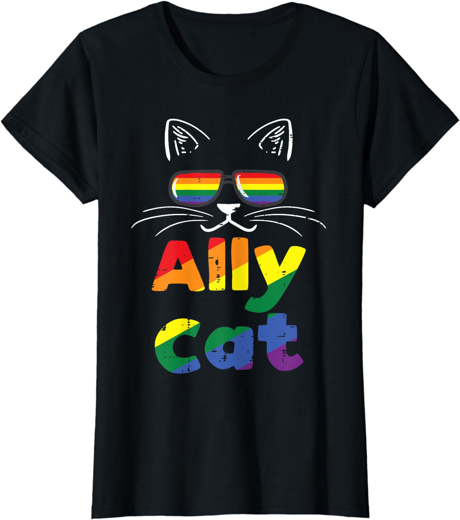 Ally Cat Pride Month Straight Ally Gay LGBTQ LGBT Ladies’ Crewneck T-Shirt