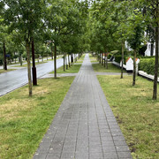 IMG 3941