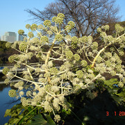 2008-01-03-056