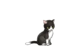 pic.png
