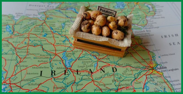 Potatoes