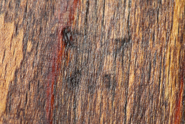 IMG-2234
