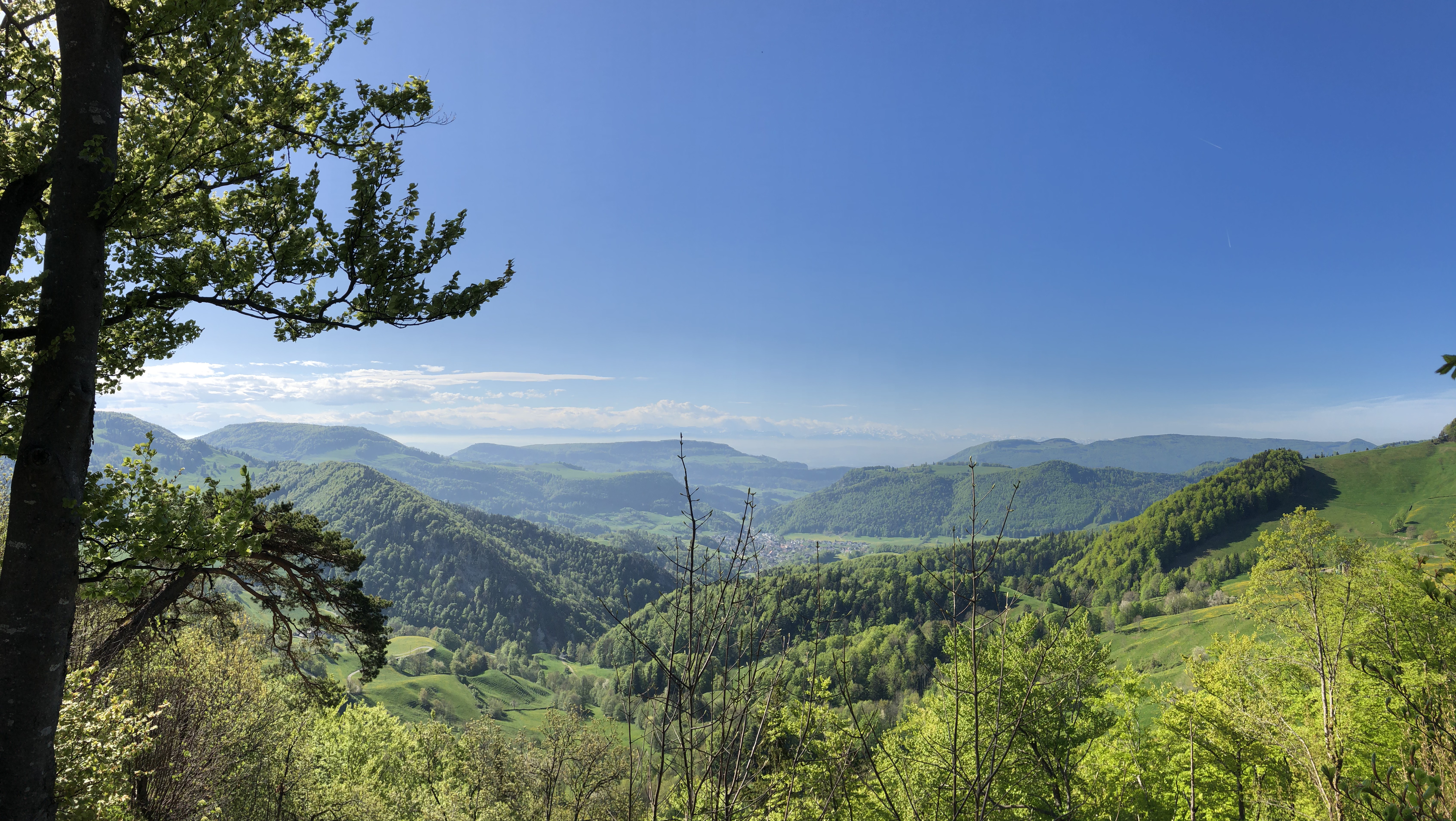 IMG-0891.jpg