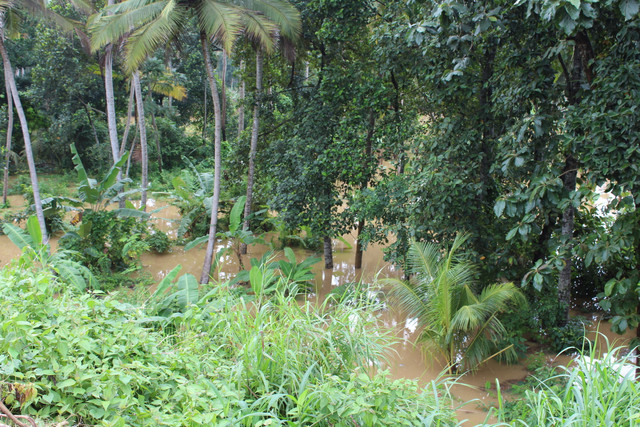 IMG 0610.jpg