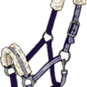 riimu5 1