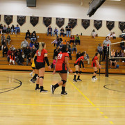 IMG-0110