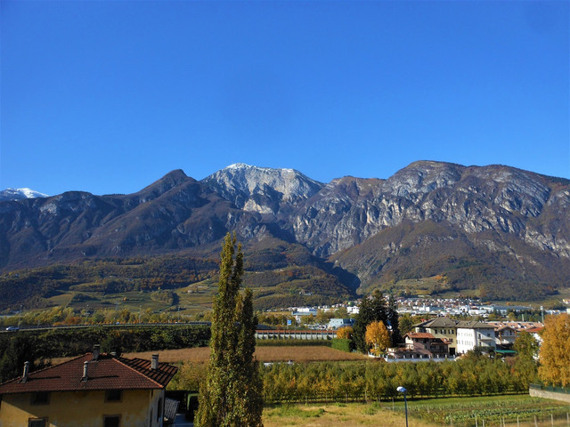 DSCN8329-2