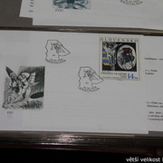 IMG-2778