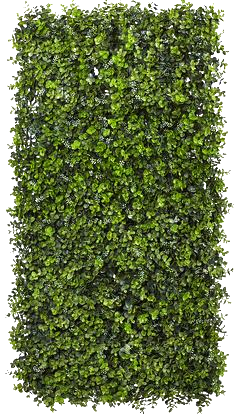 transparent.png