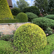 IMG-0711