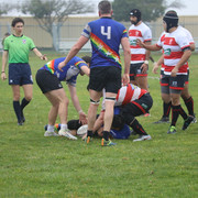 IMG-9308