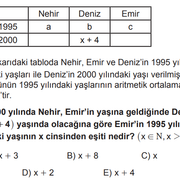 Yaş Problemi