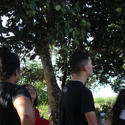 IMG-6331