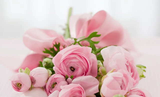 Baltimore-Florist