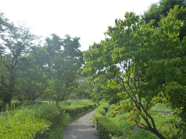 P1320990