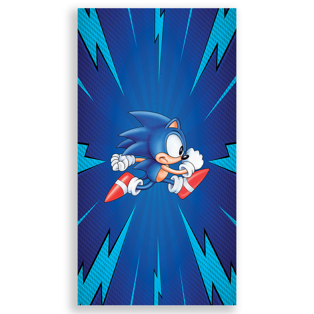 303993-Sonic