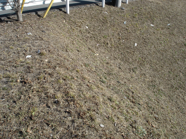 2012-01-06-231.jpg