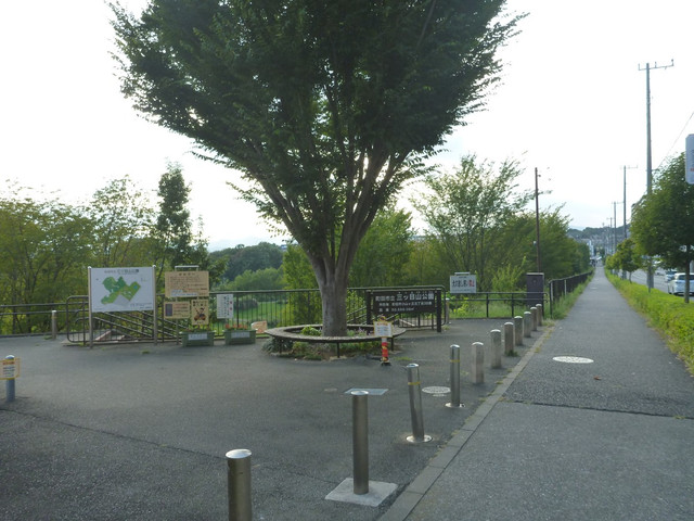 P1350262