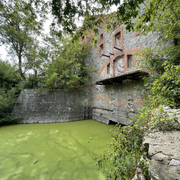 IMG-5994