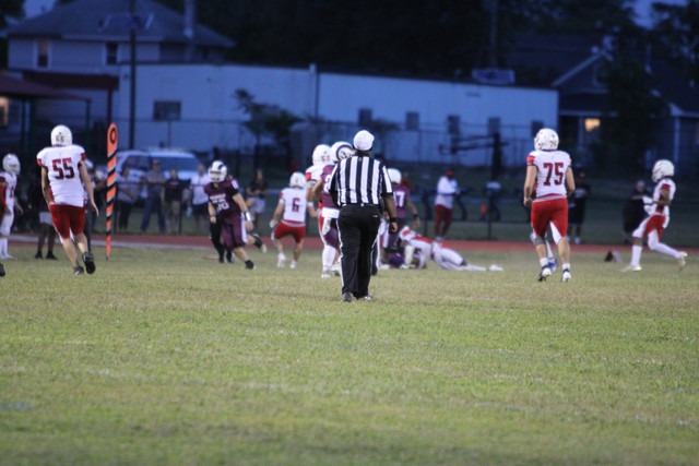 IMG-3310