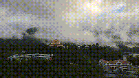 VID-20191220-075601.gif