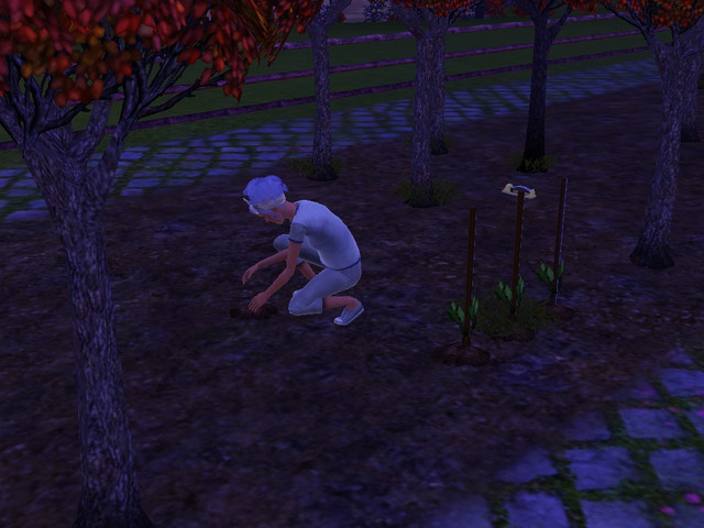 Screenshot-441