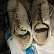 IMG-8815