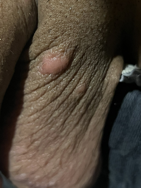 IMG-0273