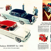 Hornet