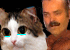 https://i.ibb.co/t3K6vK2/piltez.gif