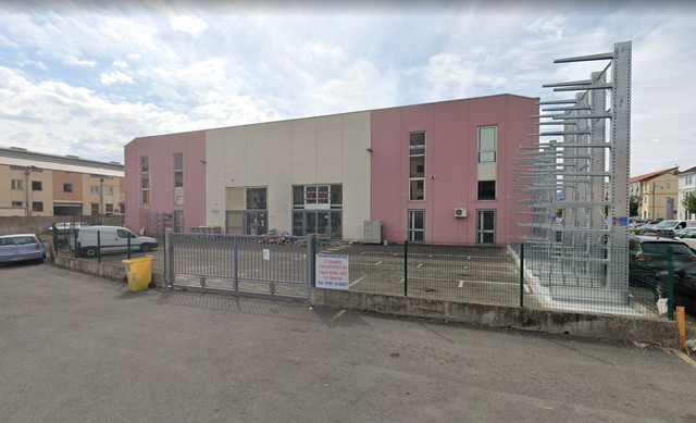 ape2.jpg