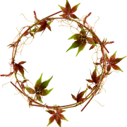 Wreath-Leaves