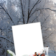 16345625-1
