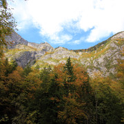 IMG-0350