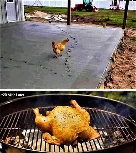 sillychicken.jpg