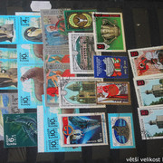 IMG-3118