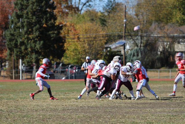 IMG-1717.jpg