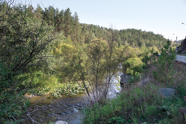 IMG-9910