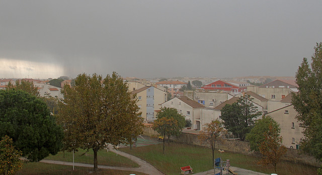 IMG-2952