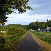 P1330689