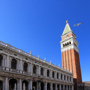 IMG-0466