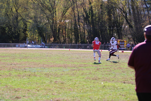 IMG-0706.jpg