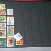 IMG-1986